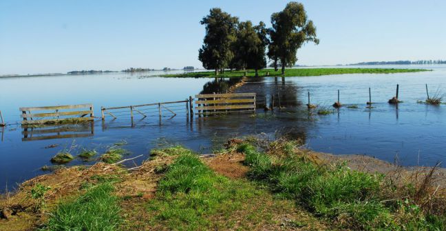 emergencia_agropecuaria.jpg