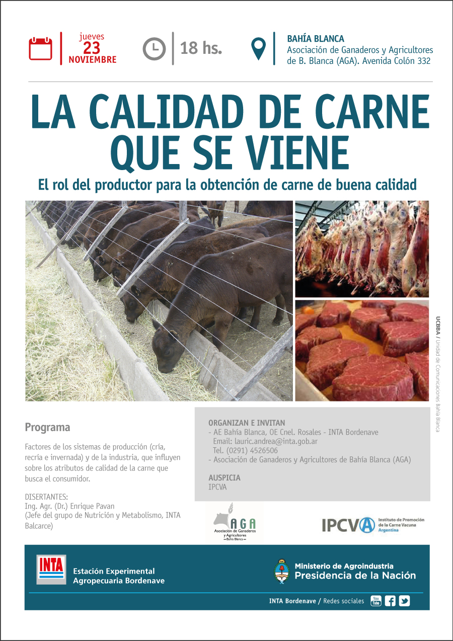 23-carne-b.blancaweb.jpg
