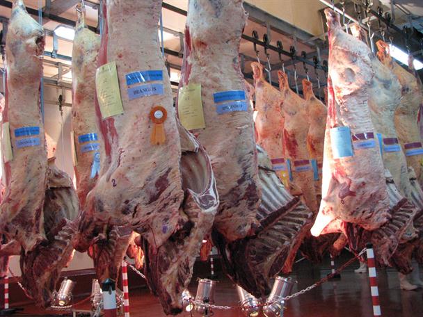 Carne-exportacion.jpg