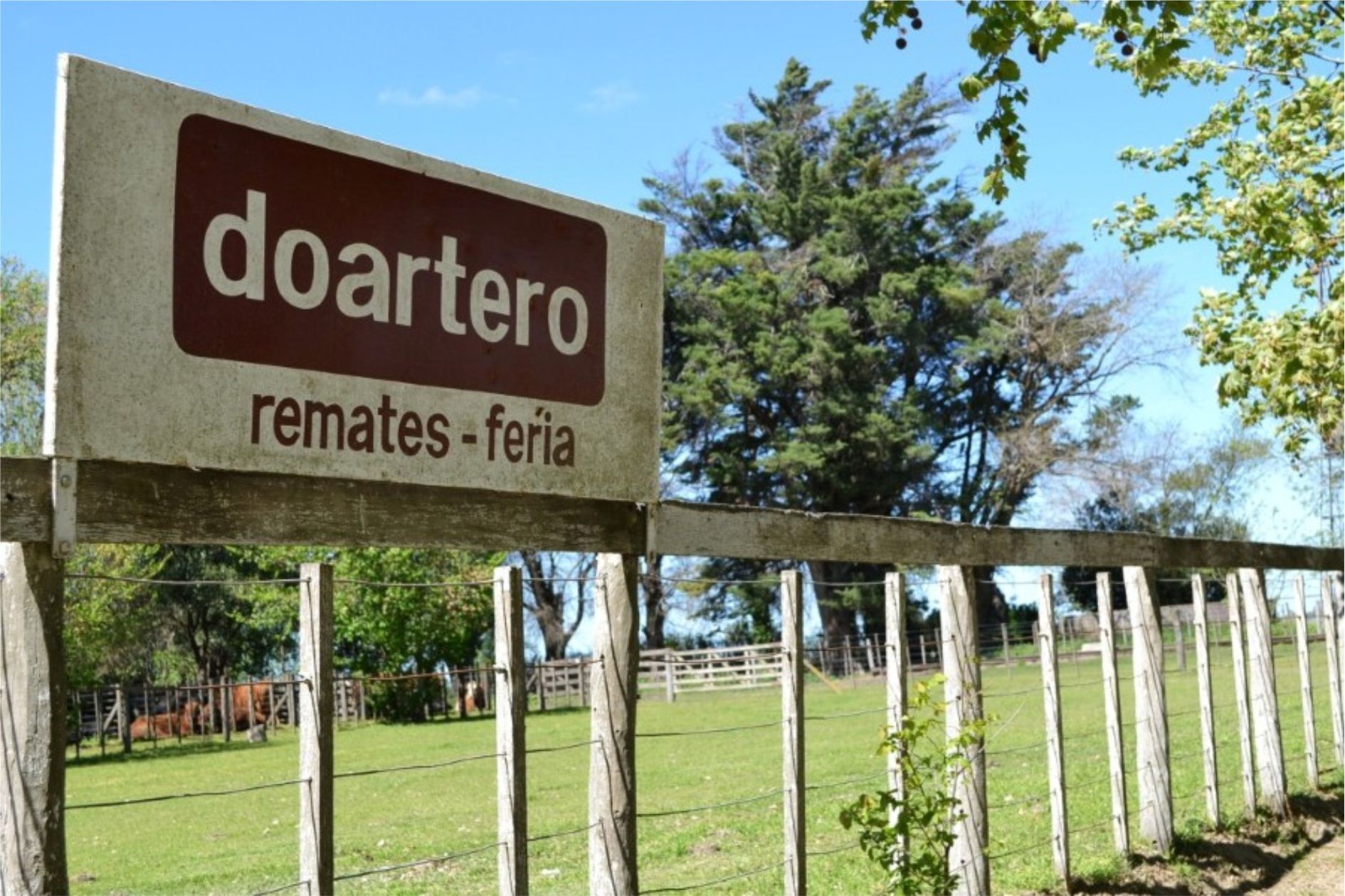 doartero2.jpg