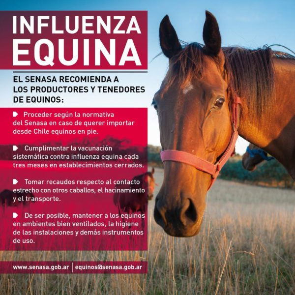 recomendaciones-influenza-equina-600x60_20180404-174831_1.jpg