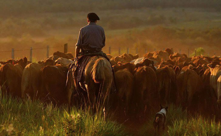 trabajador-rural-uruguay.jpg