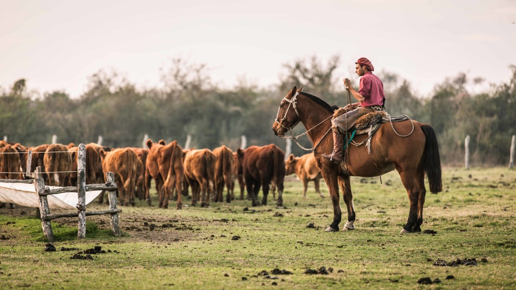 Hoy-8-de-octubre-es-el-dia-del-Trabajador-Rural.jpg