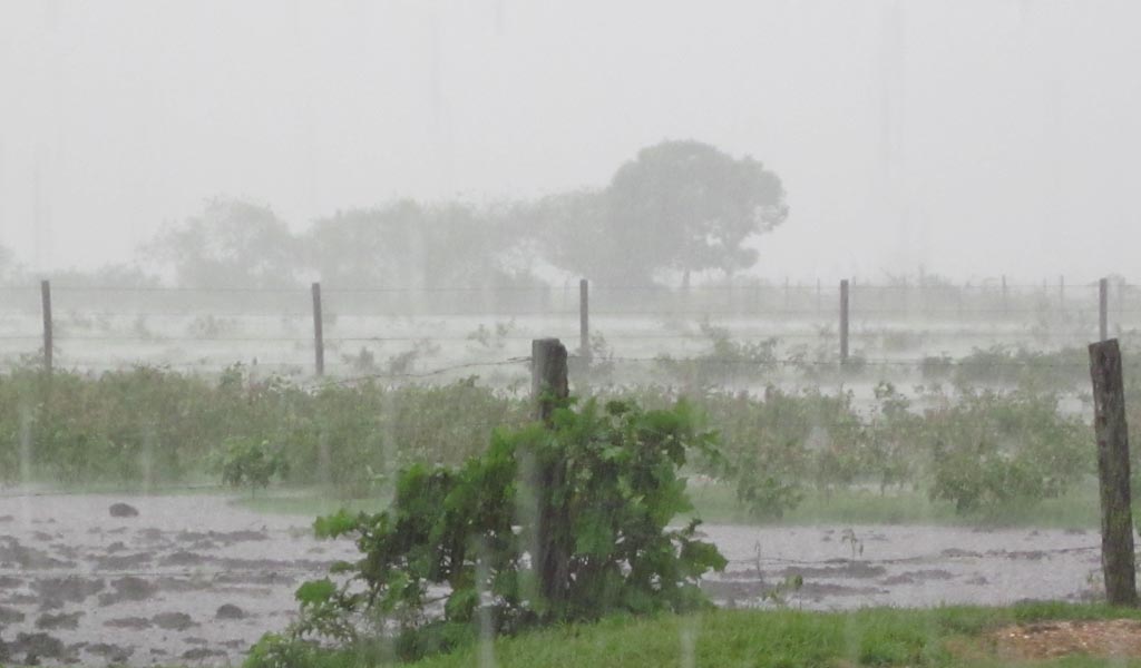 lluvia-campo.jpg