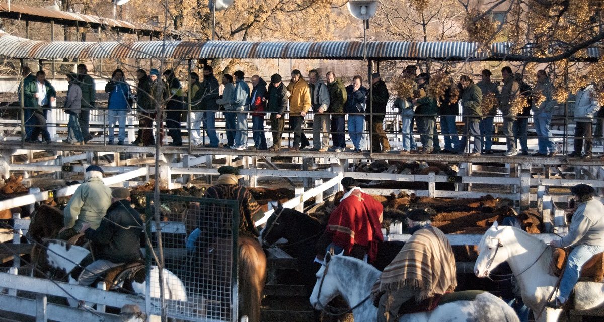 Liniers_cattle_market_Buenos_Aires_24_July_2009-1200x640.jpg