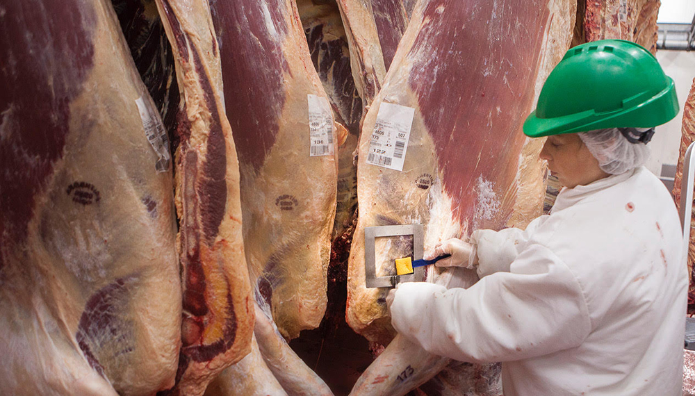 faena-frigorifico-ganaderia.jpg