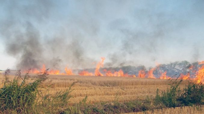 incendio-en-el-campo-678x381.jpg