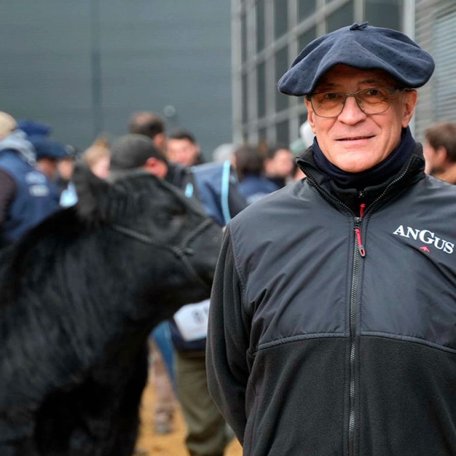 La imagen tiene un atributo ALT vacío; su nombre de archivo es amadeo-derito-24072025-2067431.jpg