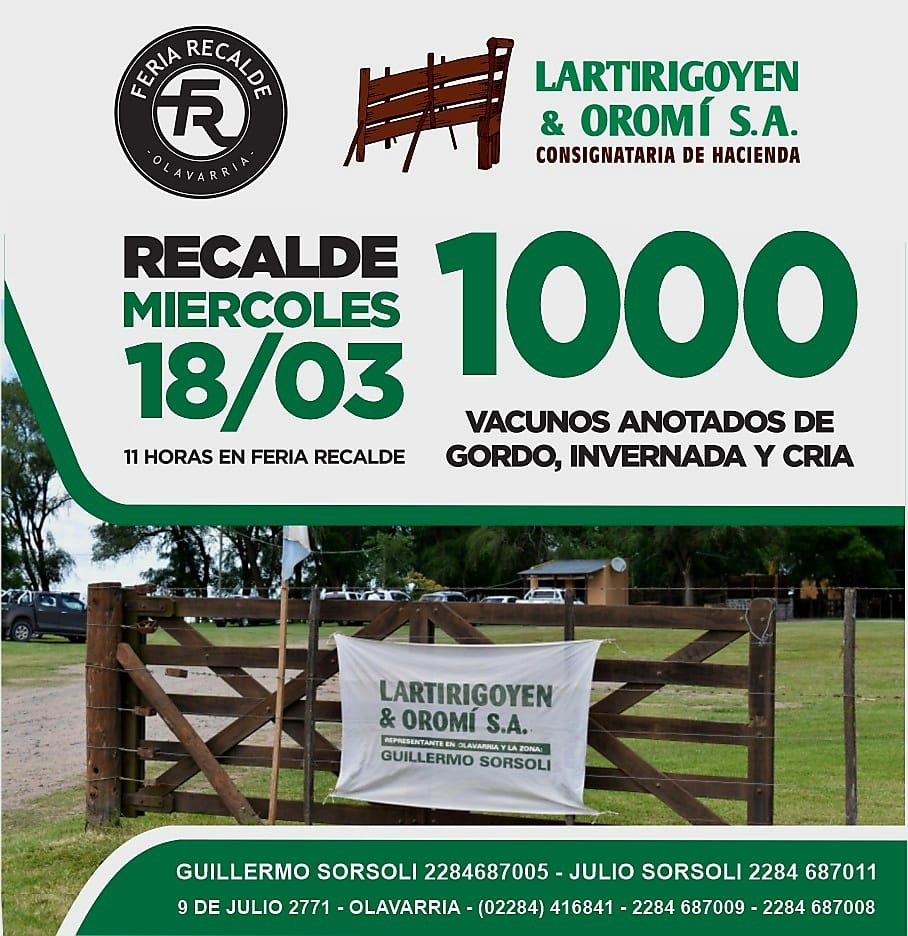 WhatsApp Image 2026-02-27 at 08.42.04