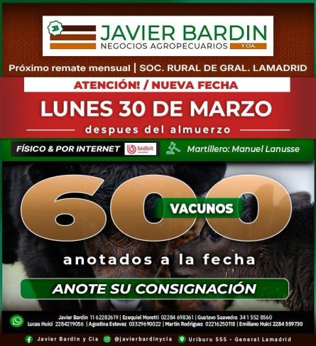 bardin30-03 (1)