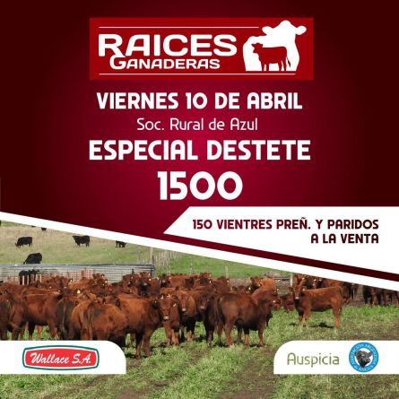 raices10-04