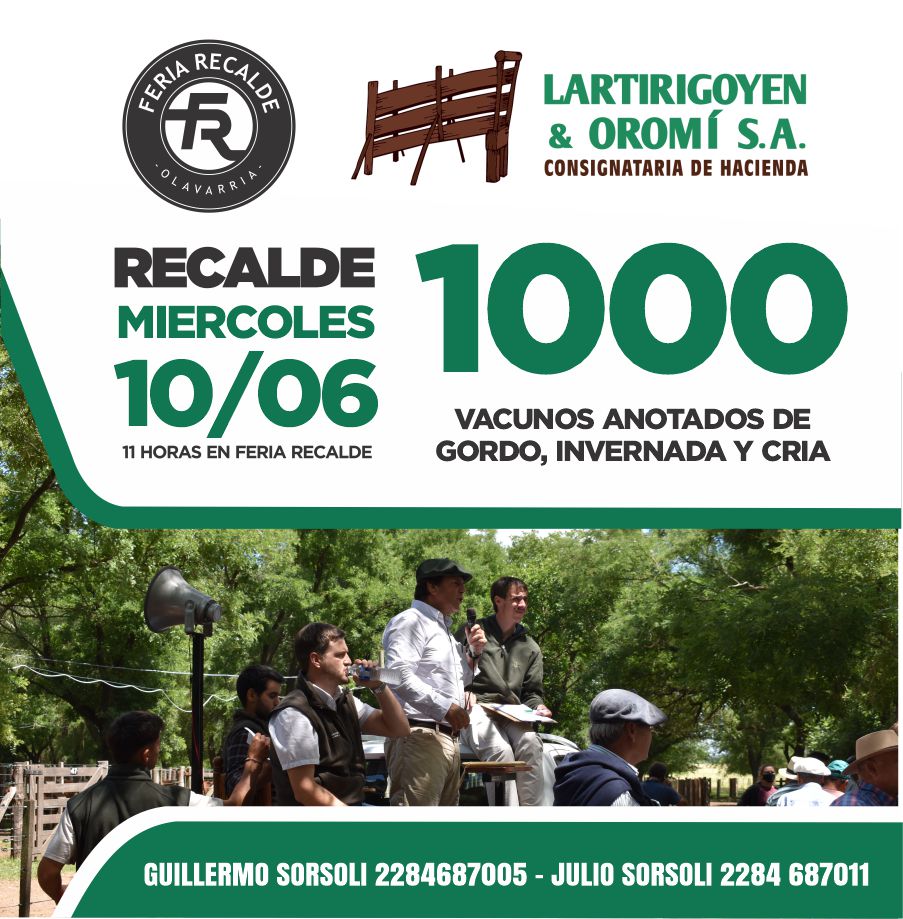 ABRIL 261 (1)