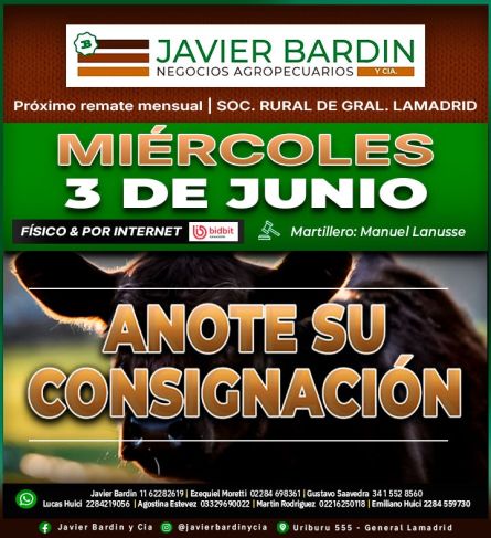 bardin03-06