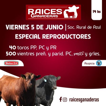 raices05-06 (1)