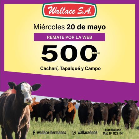 wallace20-05b