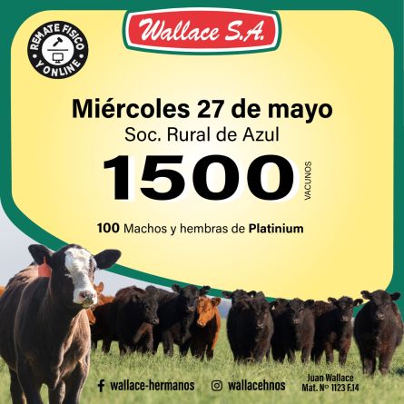wallace27-05