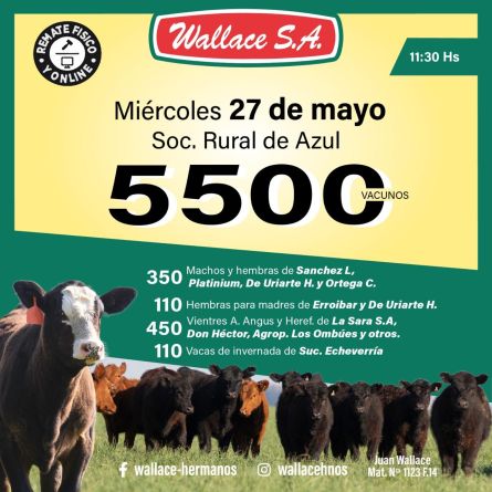 wallace27-05e