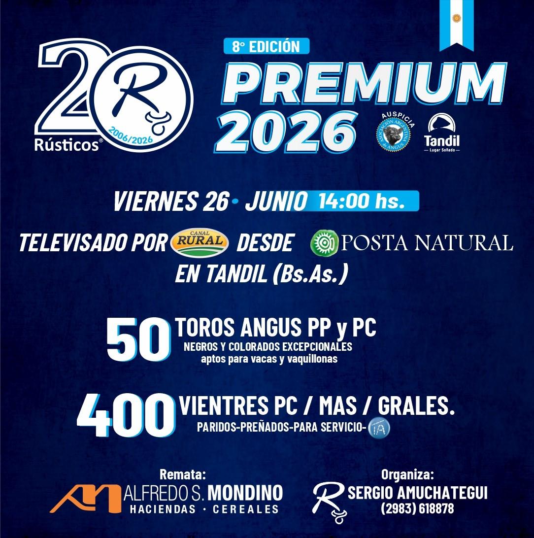 mondino26-06b