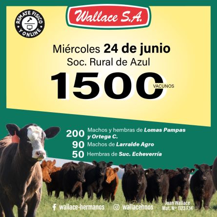 wallace24-06b