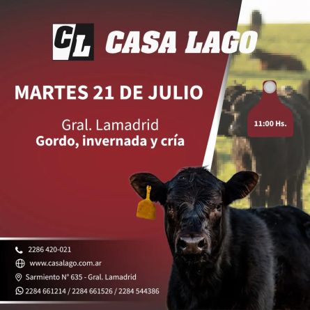 casa21-07