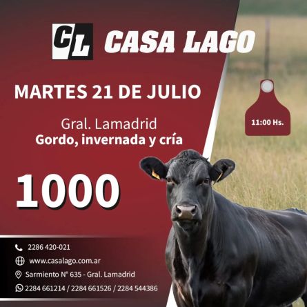 casa21-07b