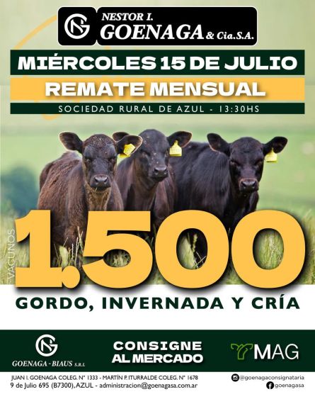 goenaga15-07