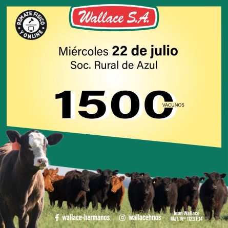 wallace22-07