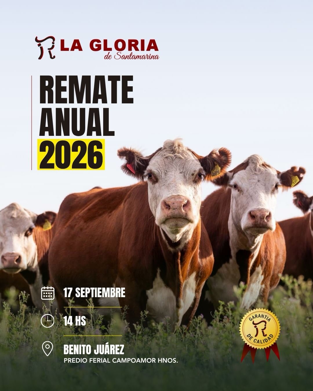 cabanalagloria_20260803_p_3955769130050457970_1_3955766978127972879