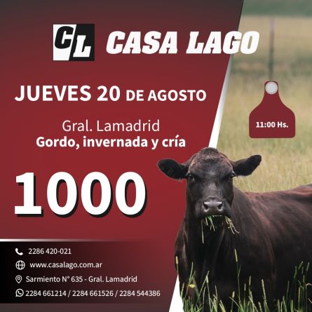 casa20-08b