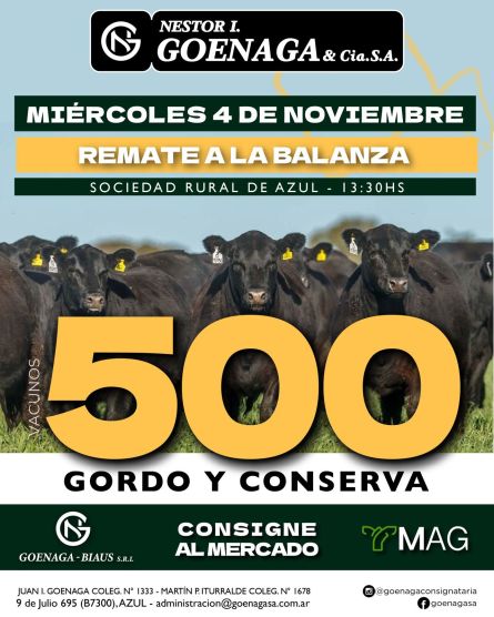 goenaga04-11