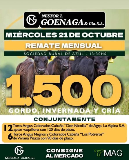 goenaga21-10