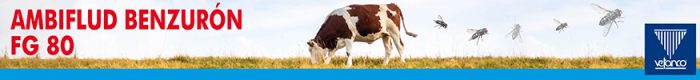 Block Ambiflud Benzuron fg 80 900x100 2024