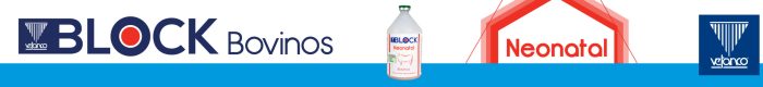 Block Neonatal 900x100 2023